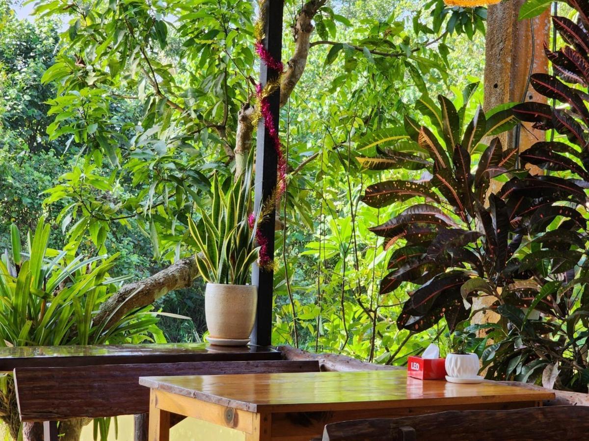 Suankafae Resort สวนกาแฟรีสอร์ท Szuratthani Kültér fotó